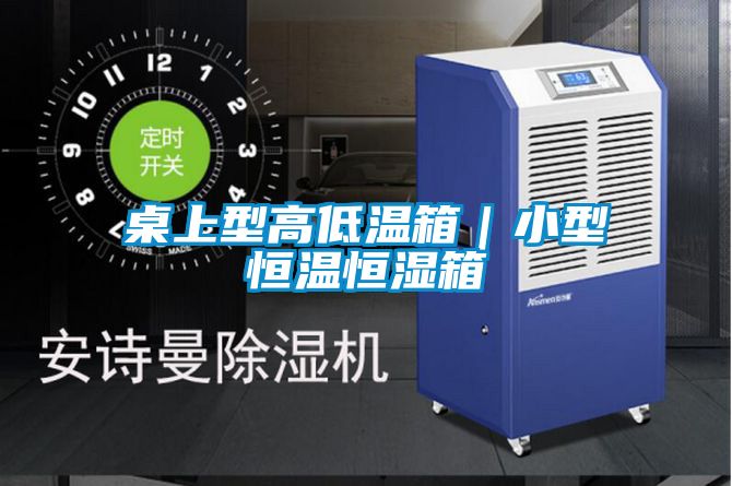 桌上型高低溫箱|小型恒溫恒濕箱