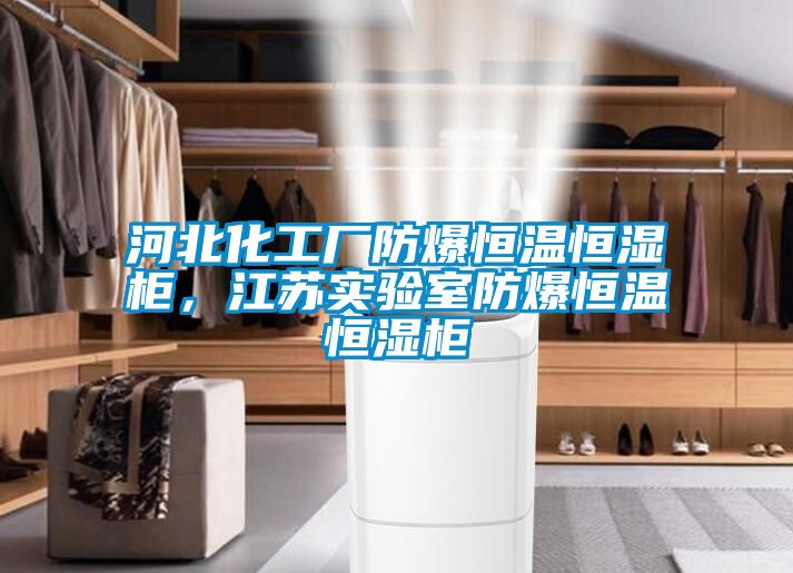 河北化工廠防爆恒溫恒濕柜，江蘇實驗室防爆恒溫恒濕柜