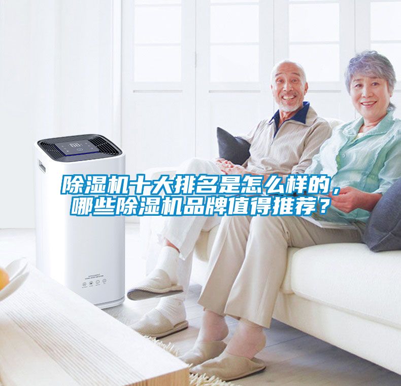 除濕機十大排名是怎么樣的，哪些除濕機品牌值得推薦？