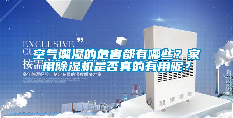 空氣潮濕的危害都有哪些？家用除濕機是否真的有用呢？