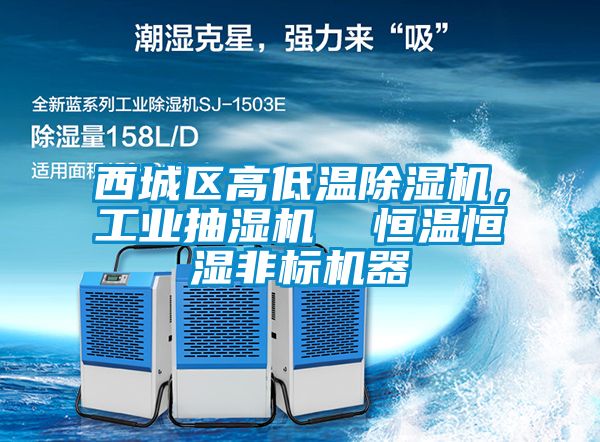 西城區高低溫除濕機，工業抽濕機  恒溫恒濕非標機器