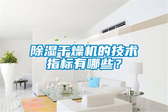 除濕干燥機(jī)的技術(shù)指標(biāo)有哪些？