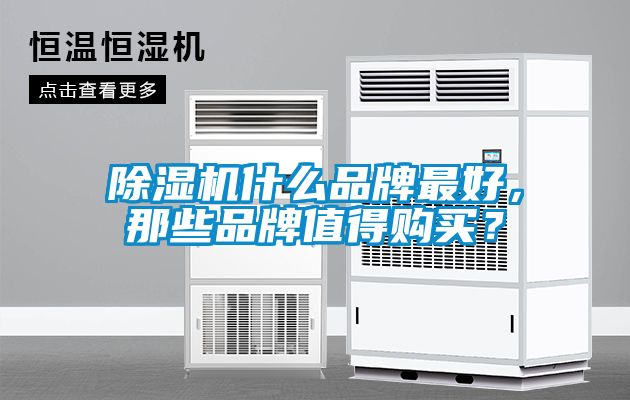 除濕機什么品牌最好，那些品牌值得購買？