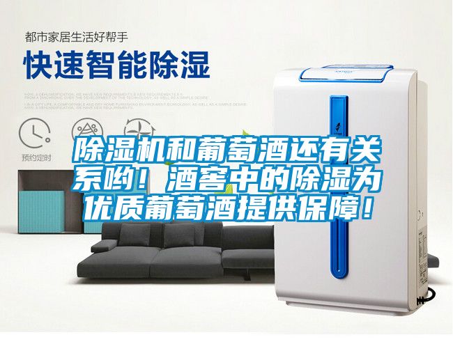 除濕機和葡萄酒還有關系喲！酒窖中的除濕為優質葡萄酒提供保障！