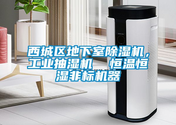 西城區地下室除濕機，工業抽濕機  恒溫恒濕非標機器