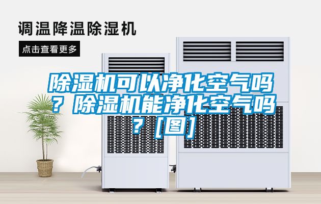 除濕機可以凈化空氣嗎？除濕機能凈化空氣嗎？[圖]