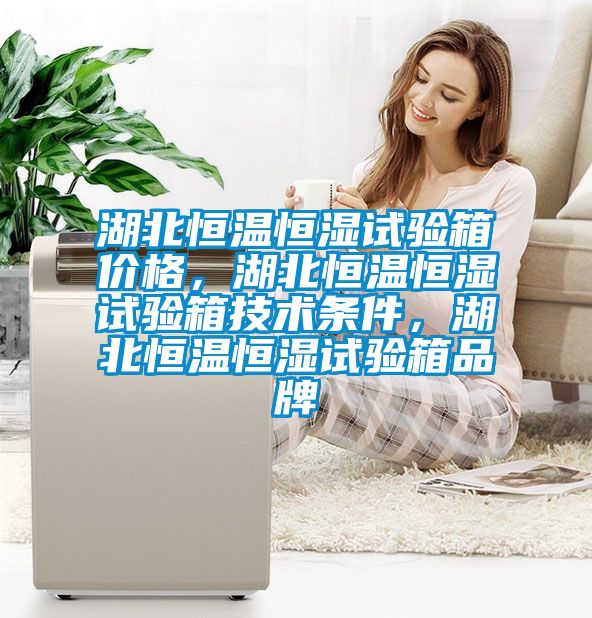 湖北恒溫恒濕試驗(yàn)箱價(jià)格，湖北恒溫恒濕試驗(yàn)箱技術(shù)條件，湖北恒溫恒濕試驗(yàn)箱品牌