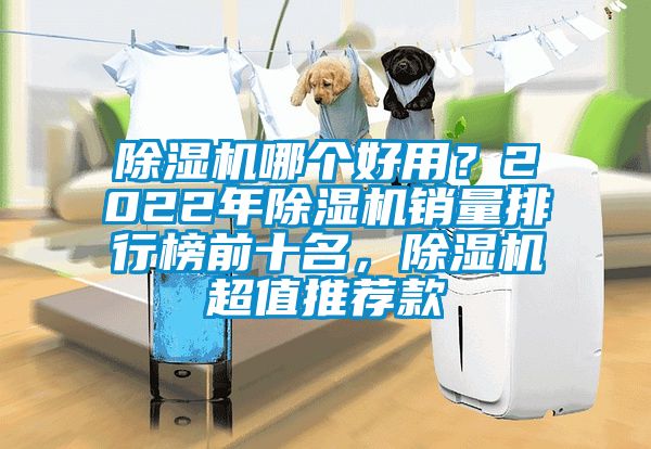 除濕機哪個好用？2022年除濕機銷量排行榜前十名，除濕機超值推薦款