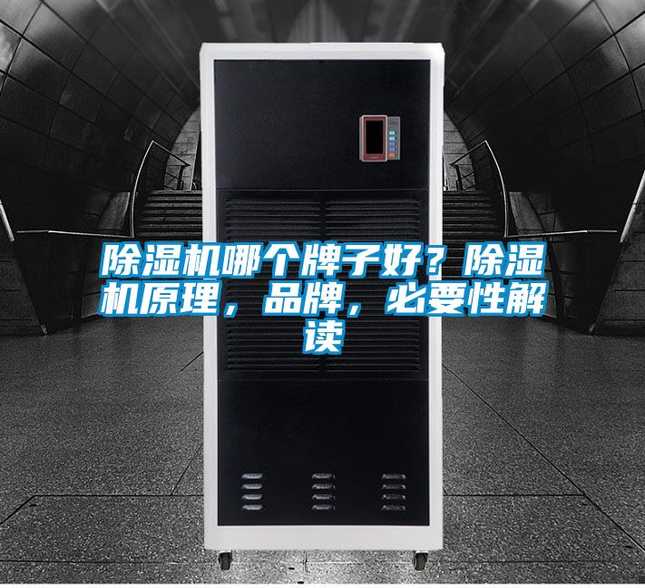 除濕機(jī)哪個牌子好？除濕機(jī)原理，品牌，必要性解讀