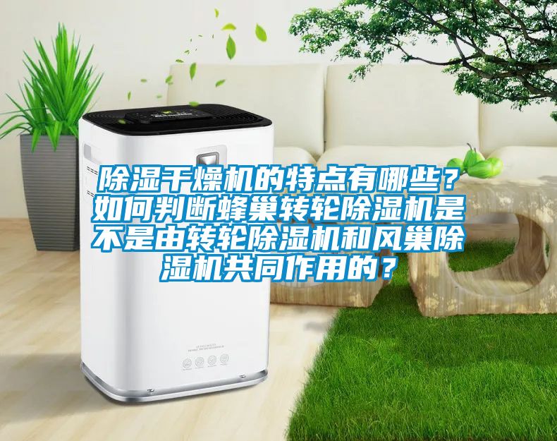 除濕干燥機的特點有哪些？如何判斷蜂巢轉輪除濕機是不是由轉輪除濕機和風巢除濕機共同作用的？
