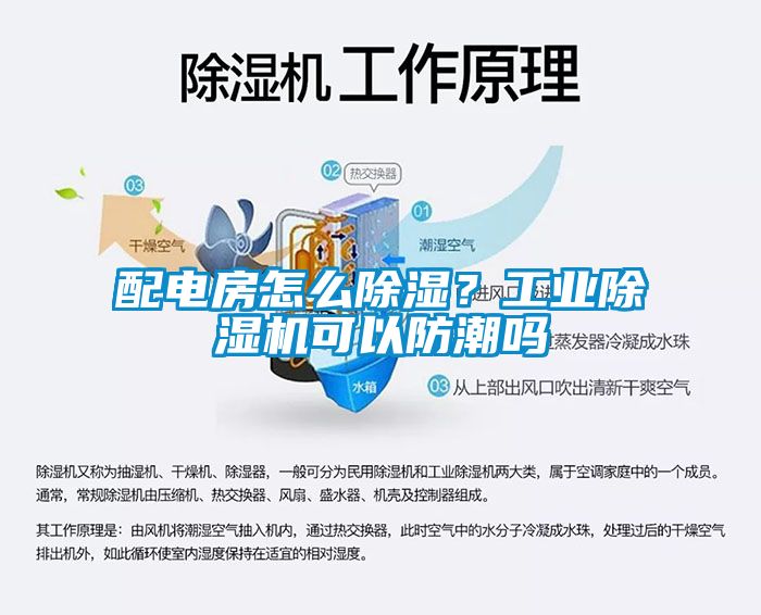 配電房怎么除濕？工業除濕機可以防潮嗎