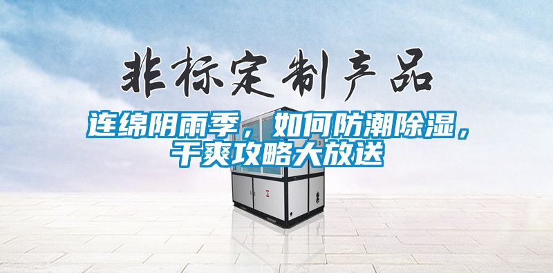 連綿陰雨季,如何防潮除濕,干爽攻略大放送