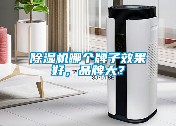除濕機(jī)哪個牌子效果好，品牌大？