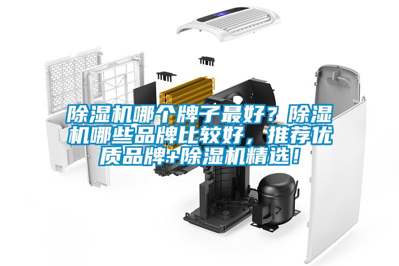 除濕機(jī)哪個牌子最好？除濕機(jī)哪些品牌比較好，推薦優(yōu)質(zhì)品牌+除濕機(jī)精選！