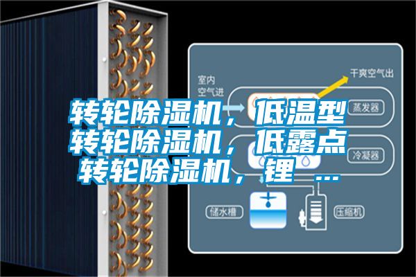 轉(zhuǎn)輪除濕機，低溫型轉(zhuǎn)輪除濕機，低露點轉(zhuǎn)輪除濕機，鋰 ...