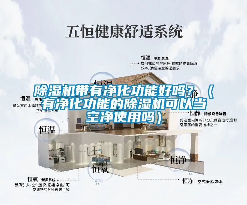 除濕機帶有凈化功能好嗎？（有凈化功能的除濕機可以當空凈使用嗎）