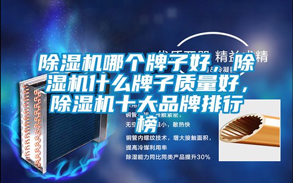 除濕機哪個牌子好，除濕機什么牌子質量好，除濕機十大品牌排行榜