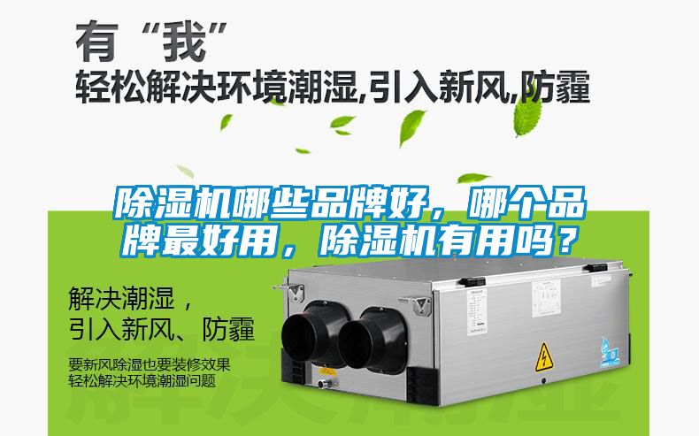 除濕機(jī)哪些品牌好，哪個品牌最好用，除濕機(jī)有用嗎？