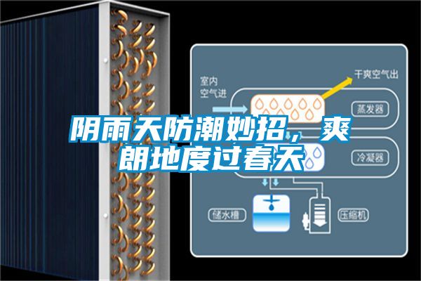 陰雨天防潮妙招，爽朗地度過春天
