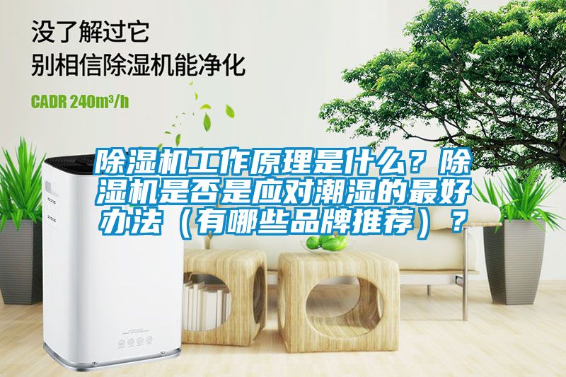 除濕機工作原理是什么？除濕機是否是應對潮濕的最好辦法（有哪些品牌推薦）？