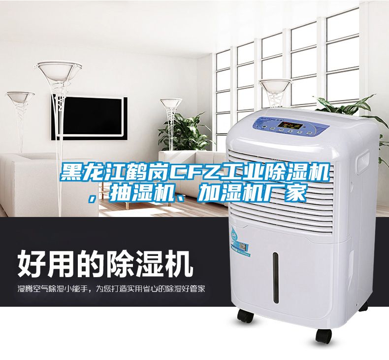 黑龍江鶴崗CFZ工業除濕機，抽濕機、加濕機廠家