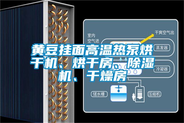 黃豆掛面高溫?zé)岜煤娓蓹C、烘干房、除濕機、干燥房